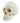 Replica del cranio scafocefalo