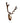 Echte Damhirsch Trophäe (Löffler)