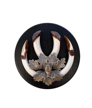 Echte kapitale Keilerwaffen Trophäe