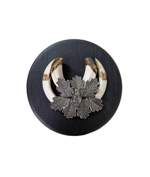 Echte kapitale Keilerwaffen Trophäe
