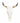 Autentico teschio di mucca svizzera (marrone svizzero)