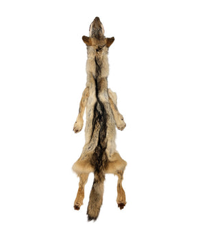 Echtes Wolfshundfell