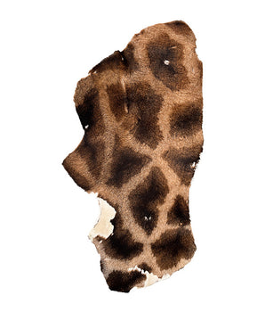 Vera pelliccia di giraffa