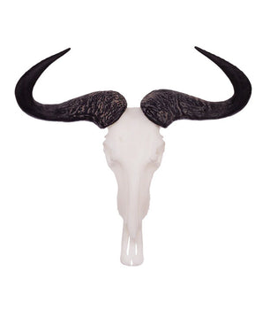 SKULLIES Teschi di gnuy striati in miniatura