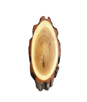 Acaciahoorn plank 22x12cm