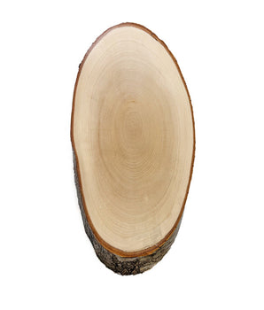 Birken Gehörnbrett 55x25cm