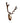 Echte Damhirsch Trophäe (Löffler)