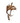 Echte Damhirsch Trophäe (Kapital)