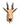 Elenantilopen Schulterpräparat (Taurotragus oryx) mit imposanten Spiralhörnern.