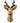 Echtes Kudu Präparat