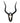 Echte Impala Trophäe