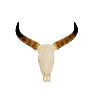 SKULLIES Miniatur Nguni Schädel